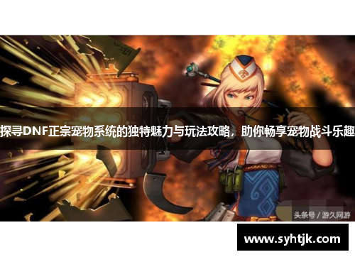 探寻DNF正宗宠物系统的独特魅力与玩法攻略，助你畅享宠物战斗乐趣